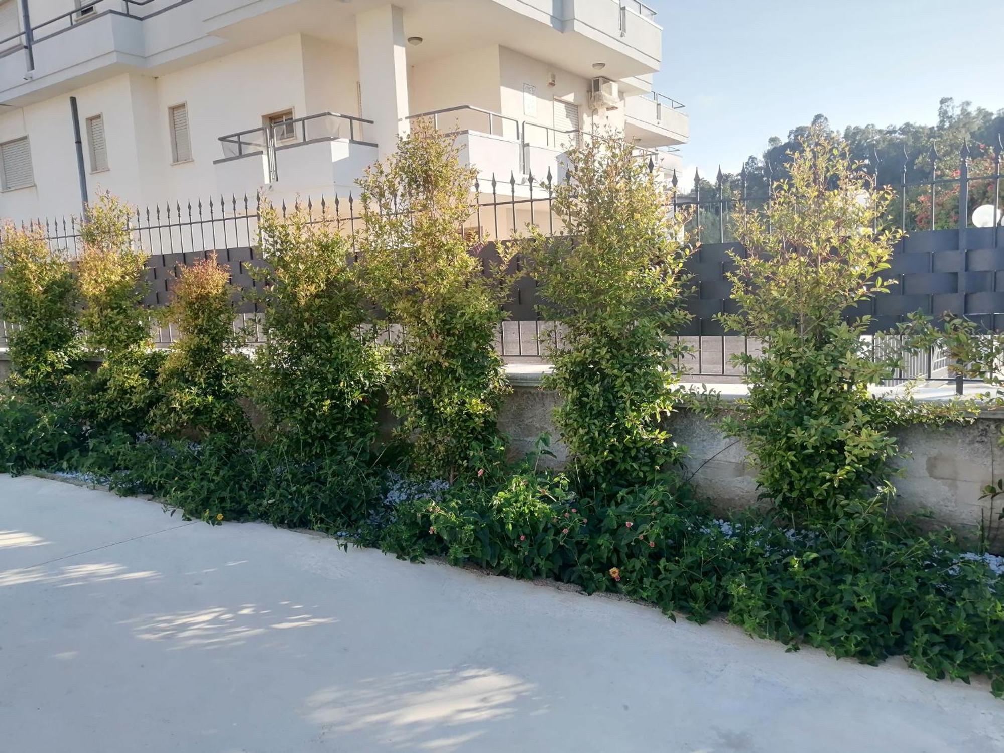 Residence Mare Azzurro Balestrate Bagian luar foto